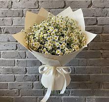 Букет цветов из:  Ромашки #REPLACE_PRED# Рассыльной