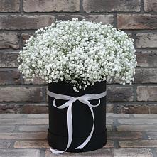 Цветочная композиция из Гипсофила в шляпной коробке в Рассыльной