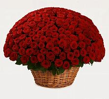 Премиум букет из: Розы в Рассыльной