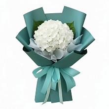Букет цветов из:  Гортензия #REPLACE_PRED# Рассыльной